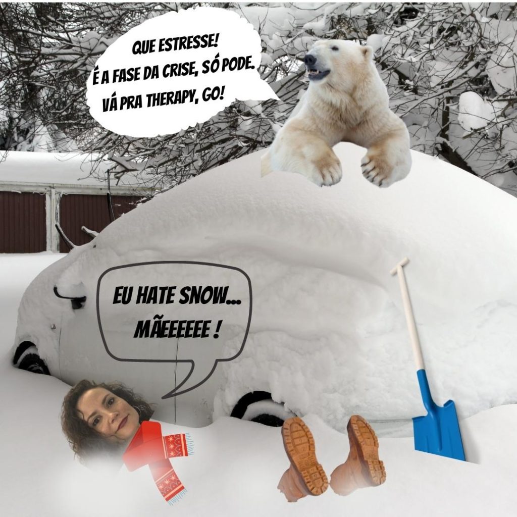 Montagem que mostra a Pamela atolada de neve, do lado do carro e com um urso polar em cima do carro. Ela tá dizendo, em inglês, que ela Odeia Neve. E o Urso tá dizendo que ela tava estressada, na fase da crise.